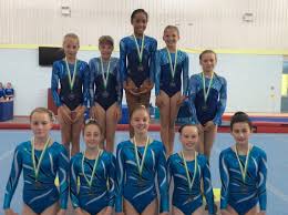 Image result for Wiltshire School Of Gymnastics