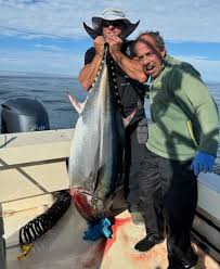 Image result for giant tuna