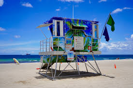 Image result for Dover Lifeguard Sc