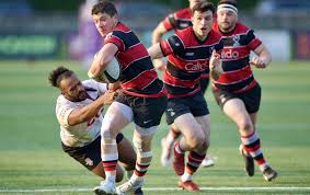 Image result for Stirling Wolves