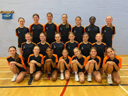 Image result for Hornets Netball Club