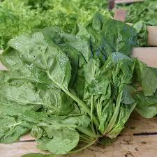 Image result for Spinat
