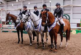 Image result for Elstead Riding Club