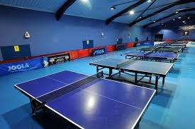 Image result for Ilfracombe Table Tennis Club