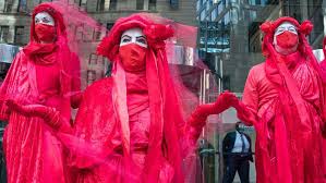 Image result for Reddish Rebels