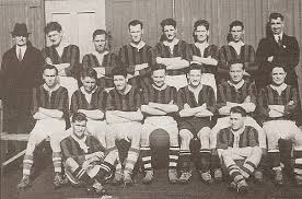 Image result for Parnells Gaelic Football Club