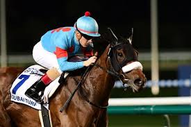 Image result for Almond Riding Club