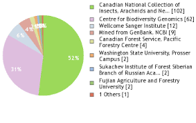 Attēlu rezultāti vaicājumam “Thecabius affinis”