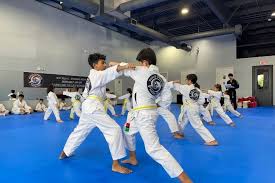Image result for MASTER CHO TAEKWONDO CLUB