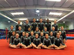 Image result for Ruxley Gymnastics Club