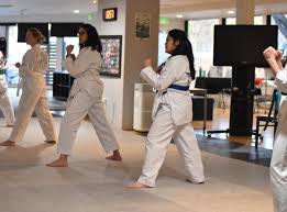Image result for Ashford School Of Taekwondo