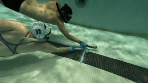 Image result for Caversham Underwater Hockey Club
