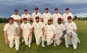 Image result for Bay Dragons CC