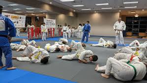 Image result for Court Lane Judo Club