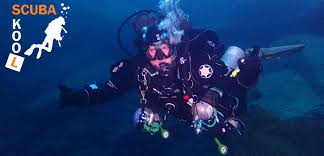 Image result for Scuba Skooling