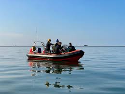 Image result for Droylsden Sub Aqua Club