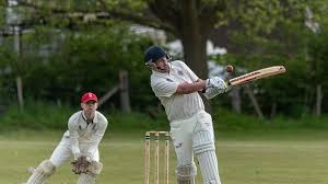 Image result for Hadleigh Cricket Club
