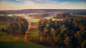 Image result for Hankley Common Golf Club