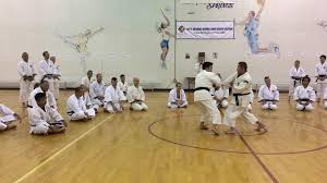 Image result for Winchester Shorinji Kempo Club