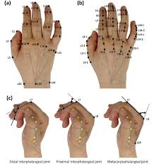 Image result for ROM   C ^