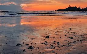 Image result for patnem beach