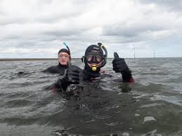 Image result for Cleveland Divers