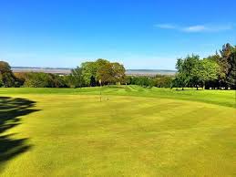 Image result for Flint Golf Club