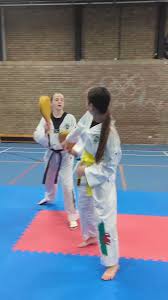 Image result for Utf Taekwondo Cymru Cardiff