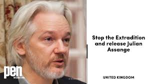 Image result for julian assange