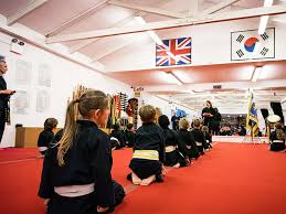 Image result for GBMAA EPSOM AND LEATHERHEAD MARTIAL ARTS ACADEMY