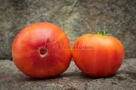 Afbeeldingsresultaat voor oranje van goeienbier tomato