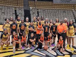 Image result for Blackpool Lights Ladies Basketball Club