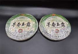 Image result for 2009早春