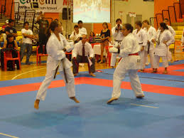 Image result for Sendai Kushiro Karate