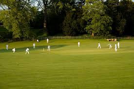 Image result for Bat Sports Cricket Club