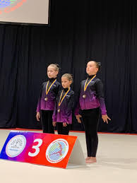 Image result for Kestrel Gymnastic Group