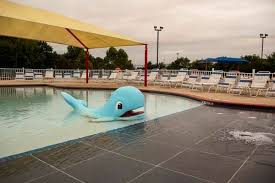 Image result for Calverton Swimming Club