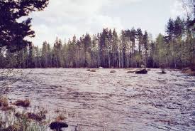 Vihovuonteen kanava