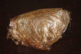 Attēlu rezultāti vaicājumam “Phylloneta cocoon”