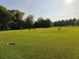Image result for Dinas Powys Cricket Club