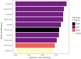 Attēlu rezultāti vaicājumam “Physarum decipiens sessile”
