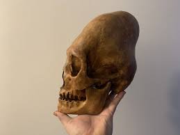Image result for elongated skulls
