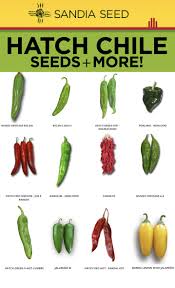 Afbeeldingsresultaat voor numex chimayo hot pepper