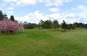 Image result for Ballymena Road Club