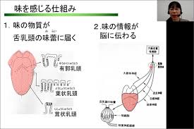 「烏頭みこと」の画像検索結果