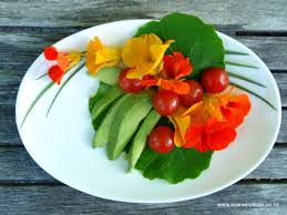 Attēlu rezultāti vaicājumam “Tropaeolum majus fruit”