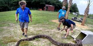 Attēlu rezultāti vaicājumam “Reticularia jurana macro”