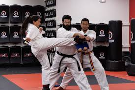 Image result for Freedom Martial Arts