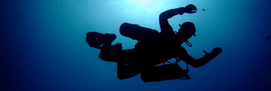 Image result for Reading University Sub Aqua Club