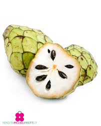 Attēlu rezultāti vaicājumam “Libanotis montana fruit”